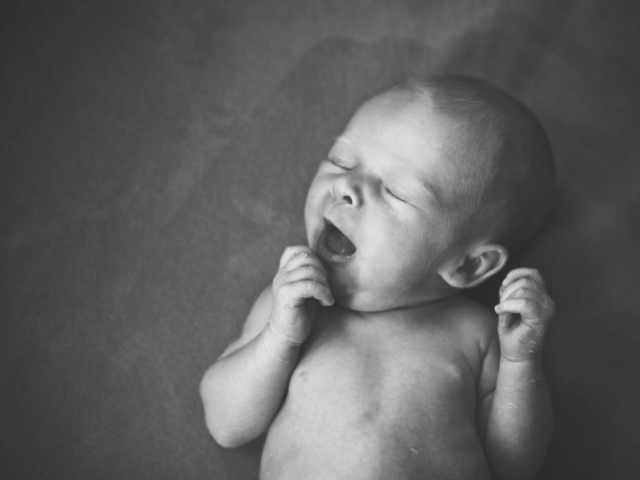 pure babyphotos berlin